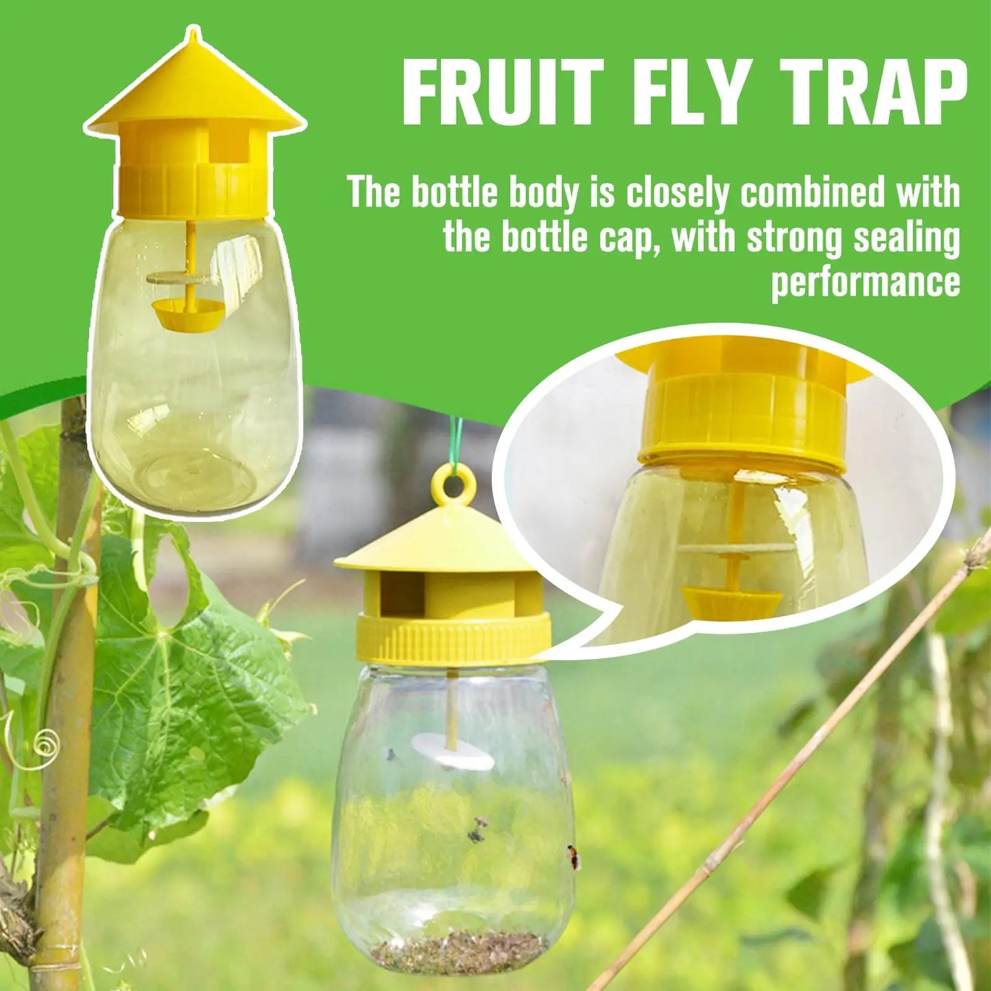 Plastic Fruit Fly Trap - Effective Drosophila Pest Control