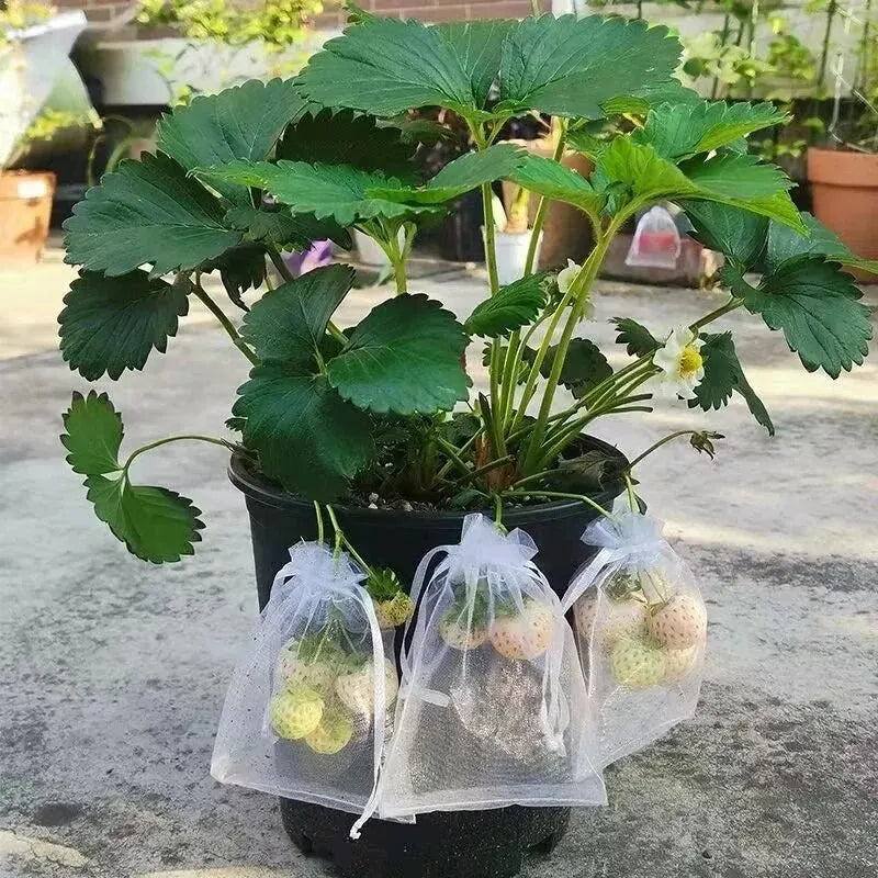 50pcs Fruit Protection Bags Anti-Bird Garden Netting Bags