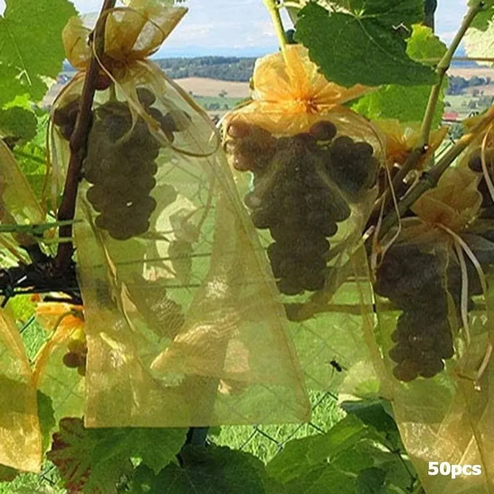 50pcs Fruit Protection Bags Anti-Bird Garden Netting Bags