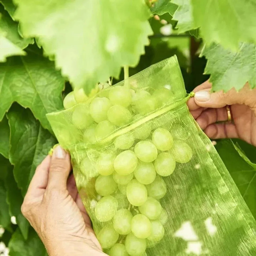 50pcs Fruit Protection Bags Anti-Bird Garden Netting Bags