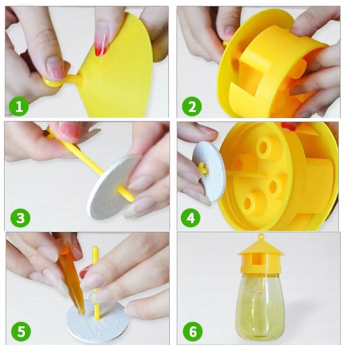 Plastic Fruit Fly Trap - Effective Drosophila Pest Control
