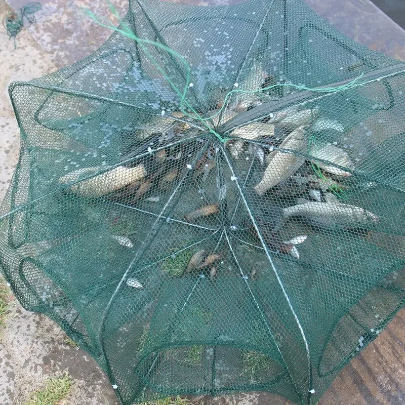 Folded Hexagon/Octagon Fishing Net Trap for Fish and Shrimp