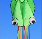 3D 4M Large Octopus Kite