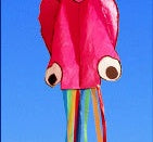 3D 4M Large Octopus Kite