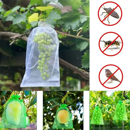 50/100pcs Grape Protection Mesh Bags for Pest Control