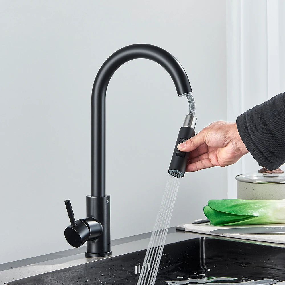 Black Kitchen Faucet Two Function