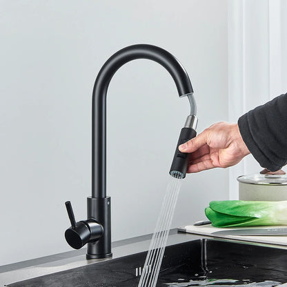 Black Kitchen Faucet Two Function