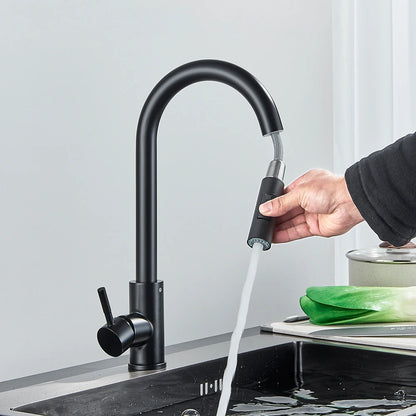 Black Kitchen Faucet Two Function