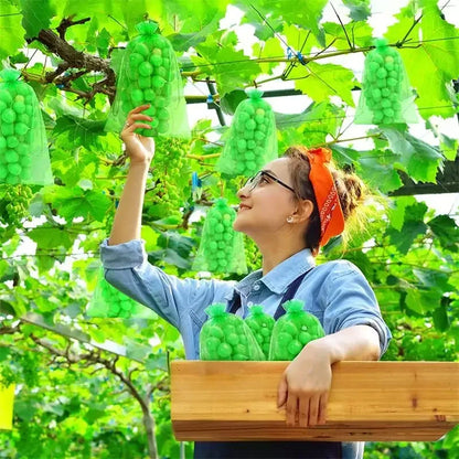 50/100pcs Grape Protection Mesh Bags for Pest Control