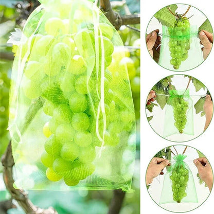 50/100pcs Grape Protection Mesh Bags for Pest Control