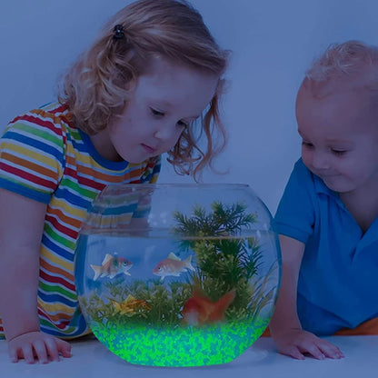 Glow in the Dark Pebbles - 1000-3000pcs for Garden & Aquarium