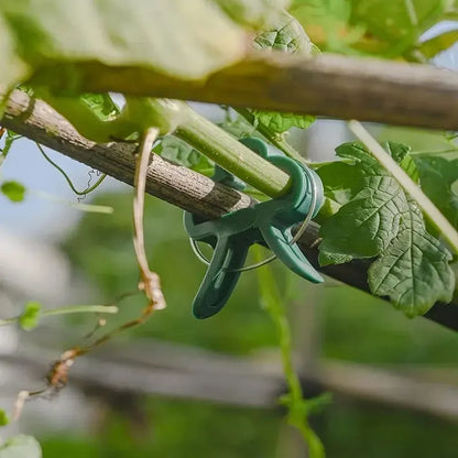 Reusable Plant Fixed Clips for Support in Greenhouses and Gardens