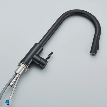 Black Kitchen Faucet Two Function