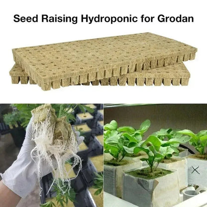 50pcs 25x25x25mm Stonewool Hydroponic Grow