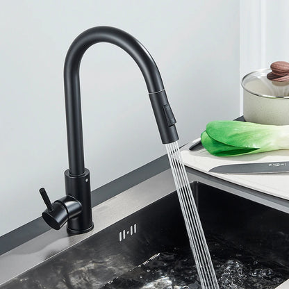 Black Kitchen Faucet Two Function