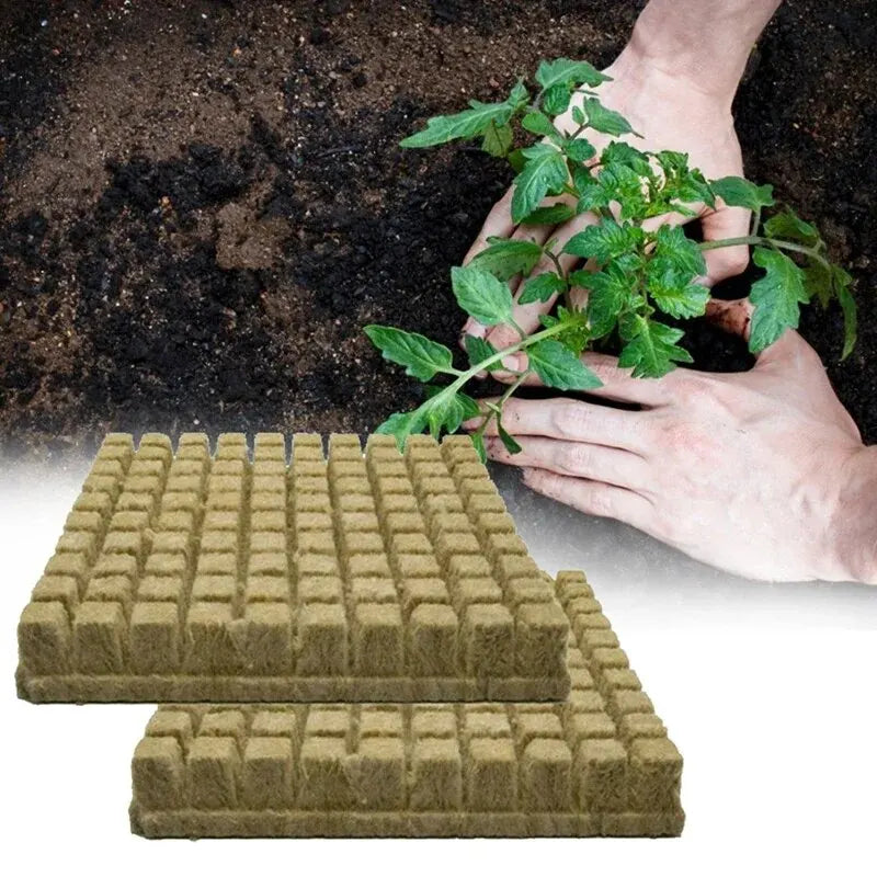 50pcs 25x25x25mm Stonewool Hydroponic Grow
