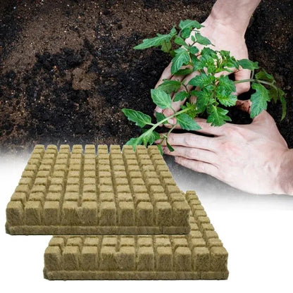 50pcs 25x25x25mm Stonewool Hydroponic Grow