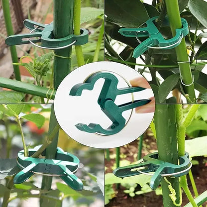 Reusable Plant Fixed Clips for Support in Greenhouses and Gardens