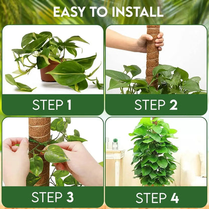 Extendable Handmade Moss Pole for Climbing Plants