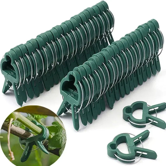 Reusable Plant Fixed Clips for Support in Greenhouses and Gardens