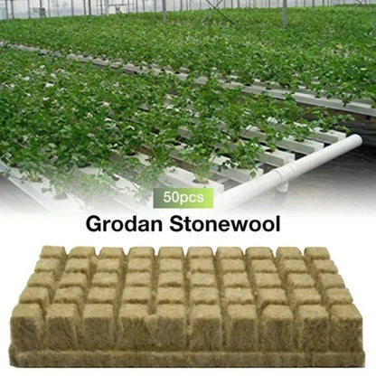 50pcs 25x25x25mm Stonewool Hydroponic Grow