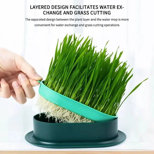 Pet Cat Sprout Dish - Hydroponic Grass Growing Pot