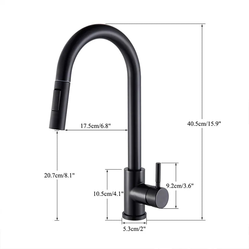 Black Kitchen Faucet Two Function