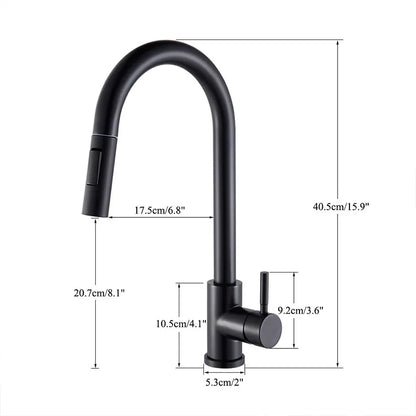 Black Kitchen Faucet Two Function