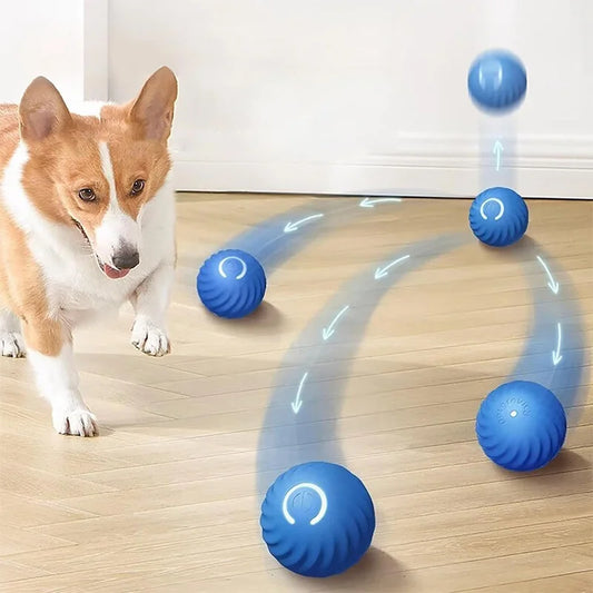 Active Rolling Ball for Dogs - Interactive Self-Rolling Dog Toy
