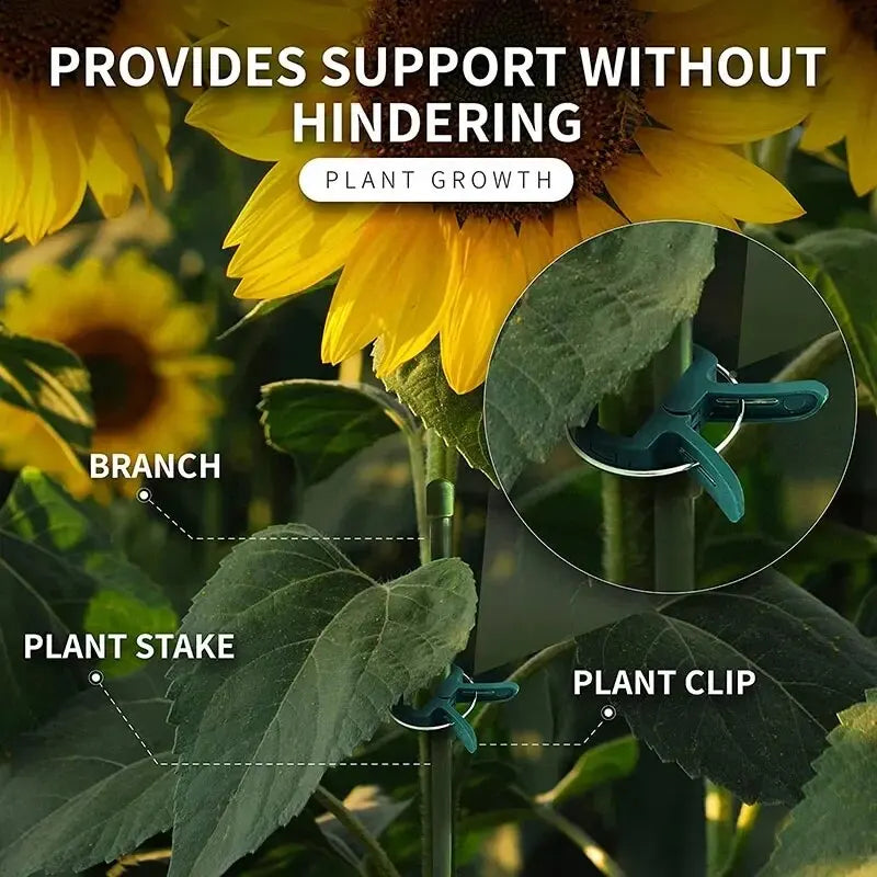 Reusable Plant Fixed Clips for Support in Greenhouses and Gardens
