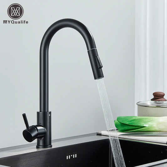 Black Kitchen Faucet Two Function
