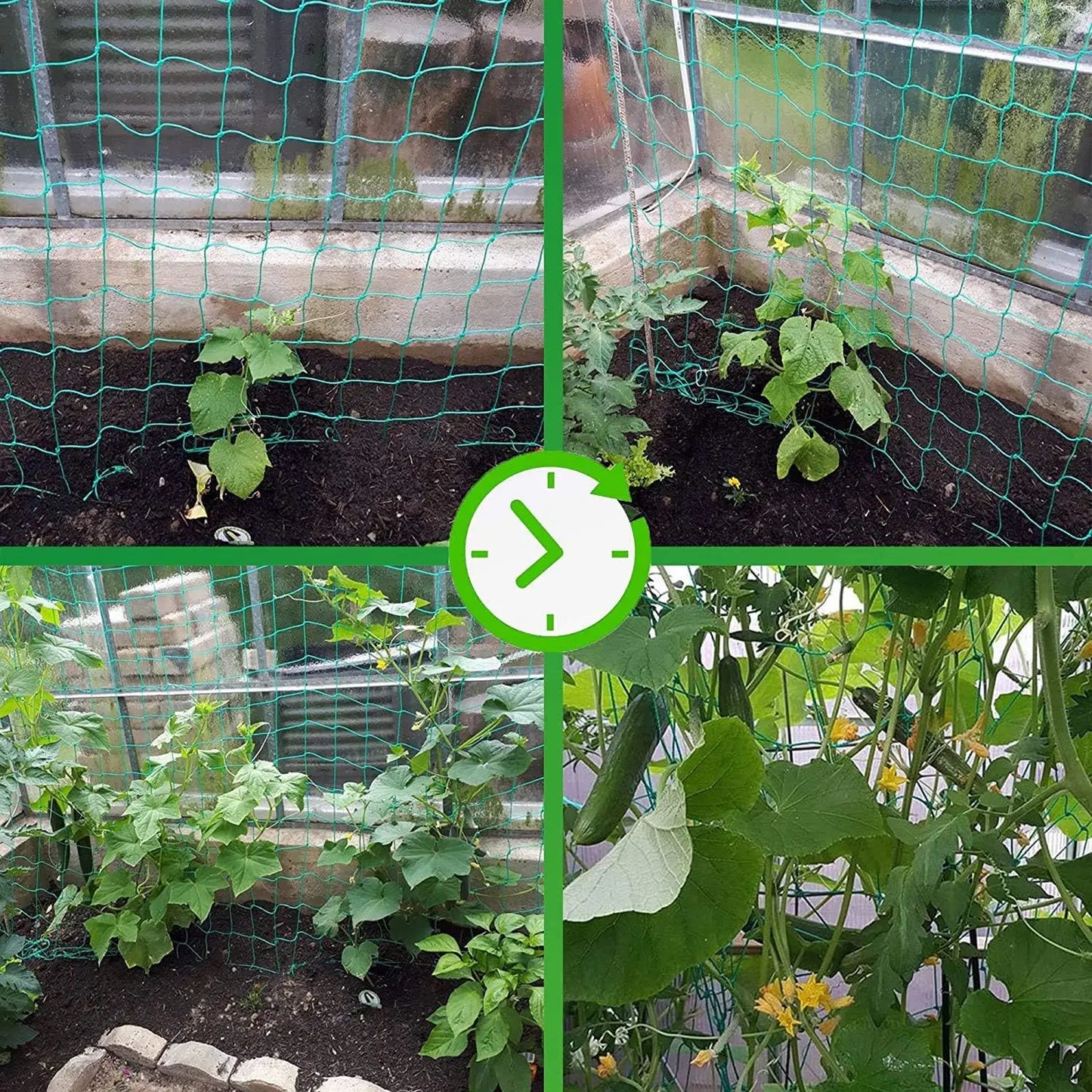 Green Nylon Garden Trellis Netting for Climbing Plants Heavy Duty