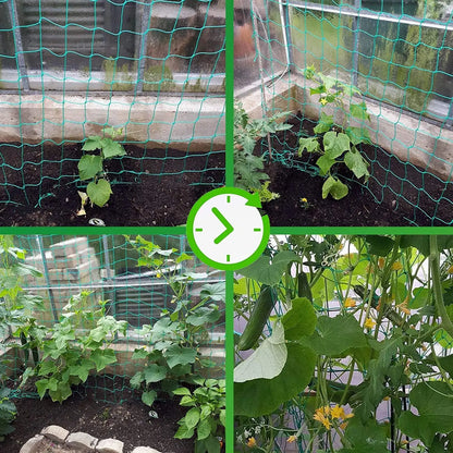 Green Nylon Garden Trellis Netting for Climbing Plants Heavy Duty