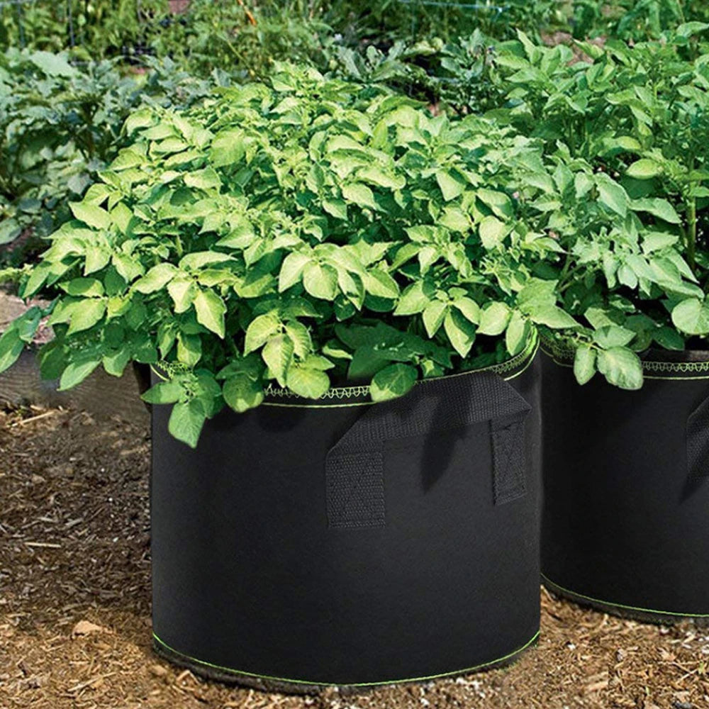 Vegetable/Flower Grow Bags - 1/3 Pcs, 3-10 Gallon Non-Woven Fabric Pots