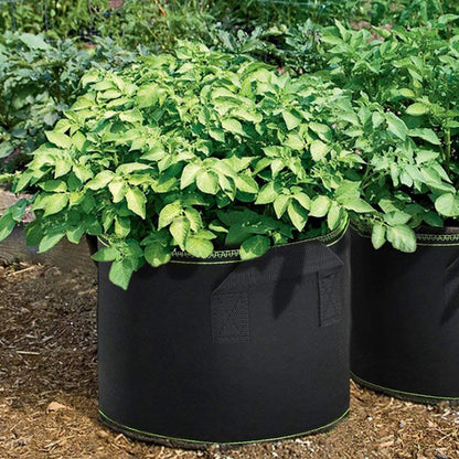 Vegetable/Flower Grow Bags - 1/3 Pcs, 3-10 Gallon Non-Woven Fabric Pots