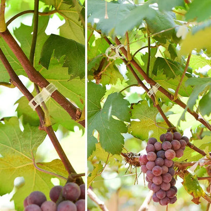 Reusable Plant Clips for Supporting Vines and Tomato Stems