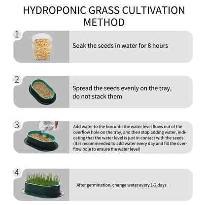 Pet Cat Sprout Dish - Hydroponic Grass Growing Pot