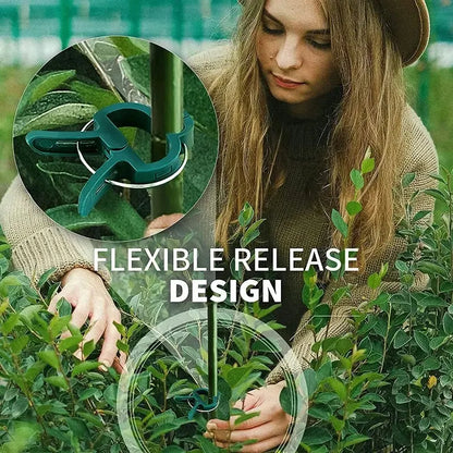 Reusable Plant Fixed Clips for Support in Greenhouses and Gardens
