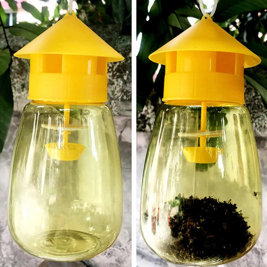 Plastic Fruit Fly Trap - Effective Drosophila Pest Control